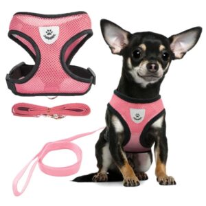 dog harness