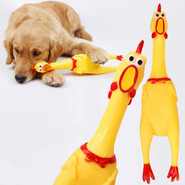 screaming chicken dog toy