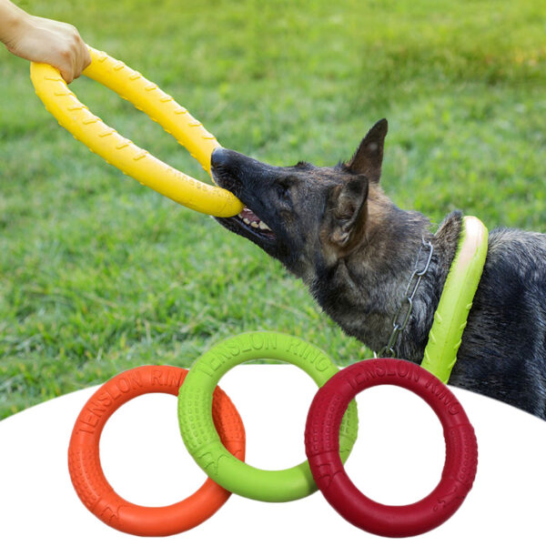 dog flying discs