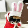 Pet Dog Cat Cap Costume Warm Rabbit Hat New Year Party Christmas Cosplay Accessories Photo Props Headwear - Image 9