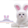 Pet Dog Cat Cap Costume Warm Rabbit Hat New Year Party Christmas Cosplay Accessories Photo Props Headwear - Image 8