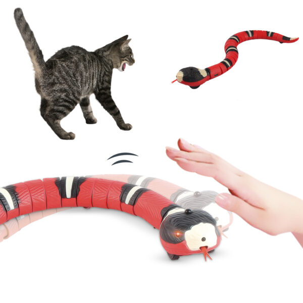 cat kitten toys