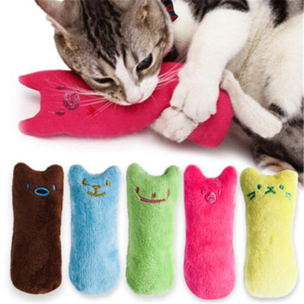 catnip toys