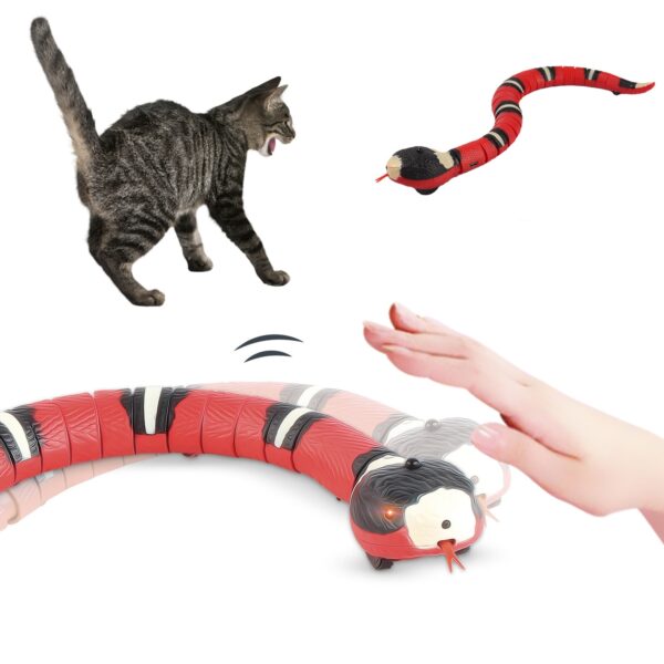 interactive cat toys